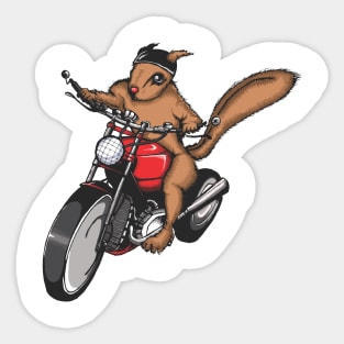 Squirrel on a Bike Sticker